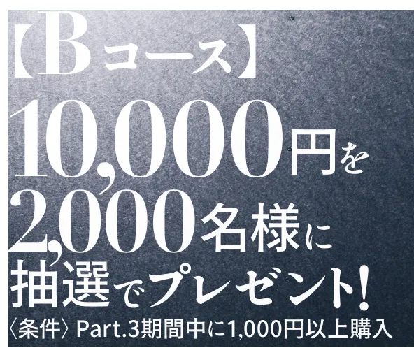 Bコース 100,000円を2000名様に抽選でプレゼント! <条件>Part.3期間中に1,000円以上購入